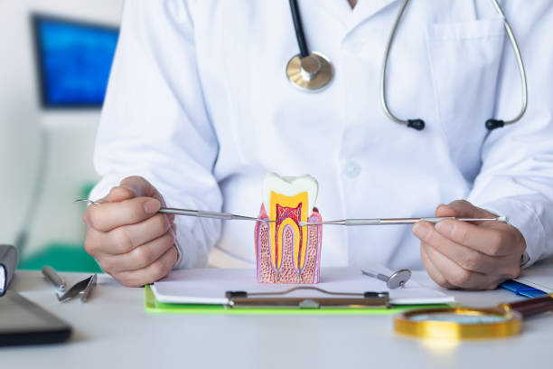 Best Emergency Dental Care for Trauma or Injury in Unionville, MO